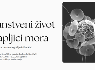 Tajanstveni život u kapljici mora.png